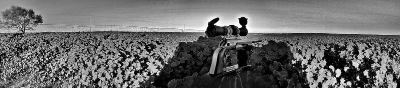 .260%20Remington%20Doe%2012-18-15%206_zps4bcymont.jpg