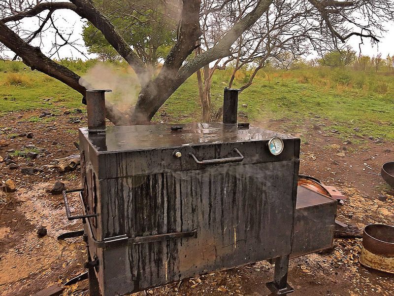 223%20pigs%20and%20cookout%203-17%2020_zpsi5c7lgna.jpg