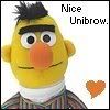 bert.jpg