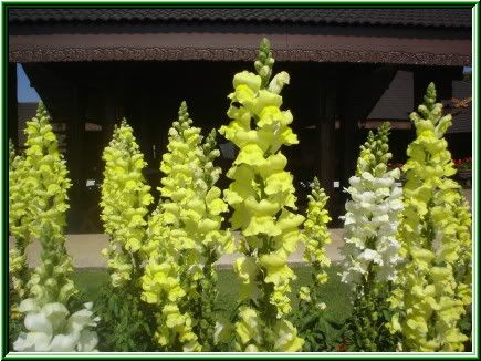 Image hosting by Photobucket