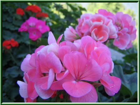 Image hosting by Photobucket