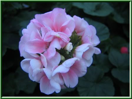 Image hosting by Photobucket