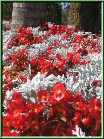 Image hosting by Photobucket