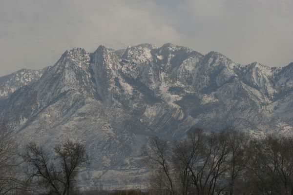 IMAGE: http://i26.photobucket.com/albums/c108/thomasgarner/IMG_3166.jpg