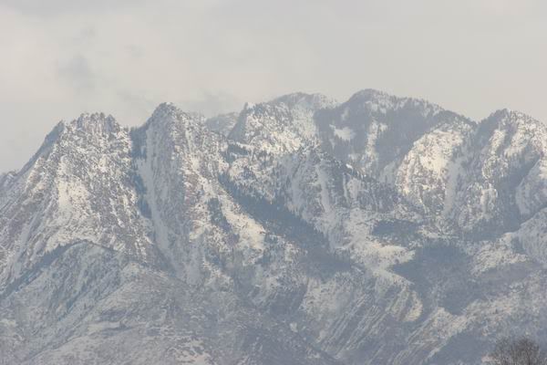 IMAGE: http://i26.photobucket.com/albums/c108/thomasgarner/IMG_3167.jpg