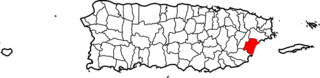 humacao.png