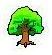 Tree2.jpg image by SandraDodd