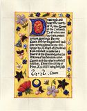 cypherscroll07.jpg image by SandraDodd