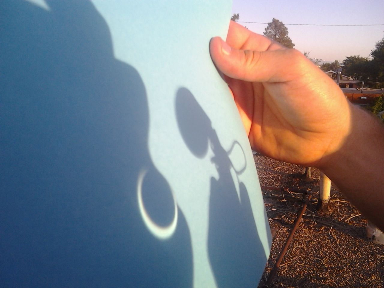 photo HollyEclipse.jpg