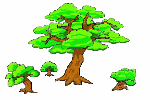 paypalTrees.gif image by SandraDodd