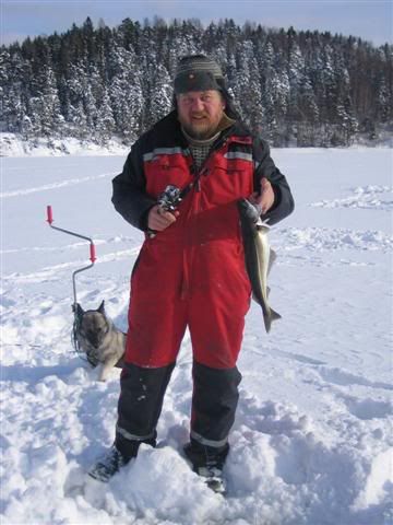 060304037Small.jpg