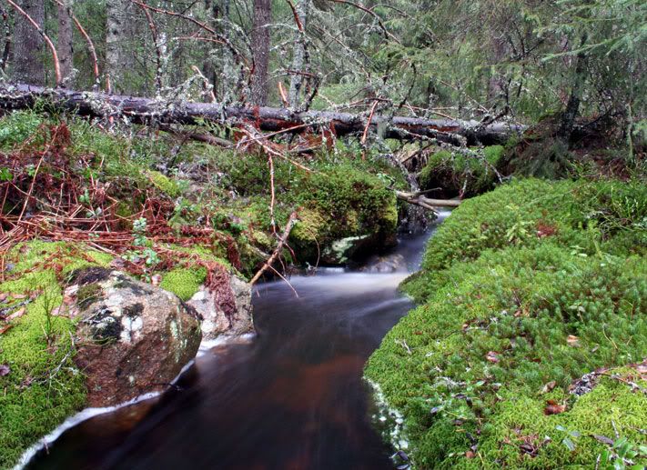 nordmarkabekk.jpg
