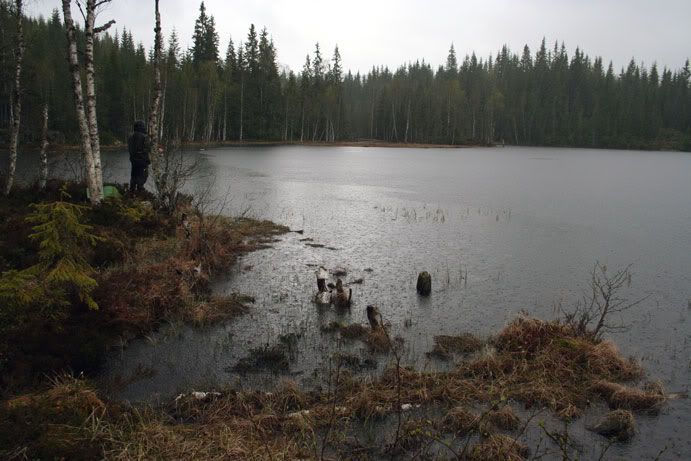 nordmarkaregn.jpg