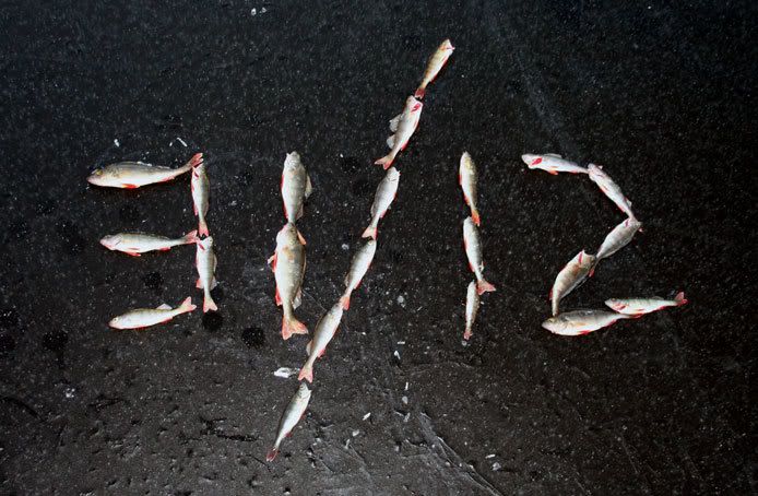 siste.jpg