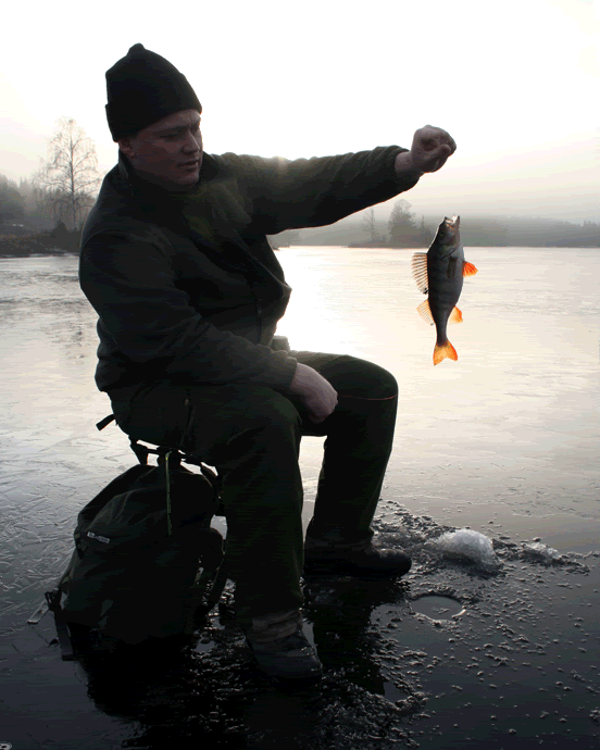 stian-2.gif