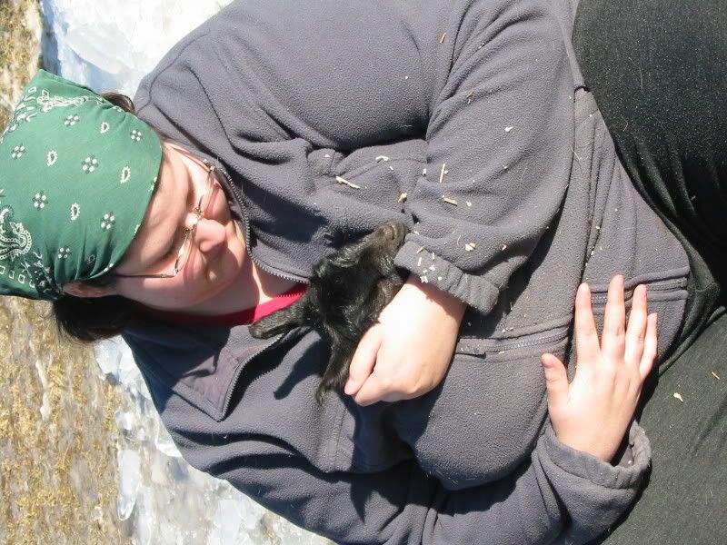 Jillis - Gremlin's a Daddy! - Goats