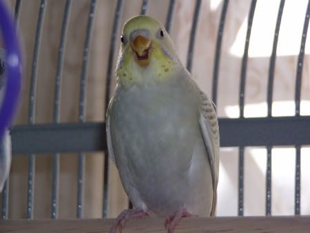 buttersmall.jpg