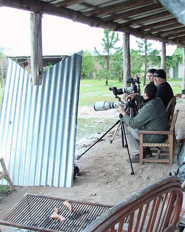 Photo Sharing and Video Hosting at Photobucket