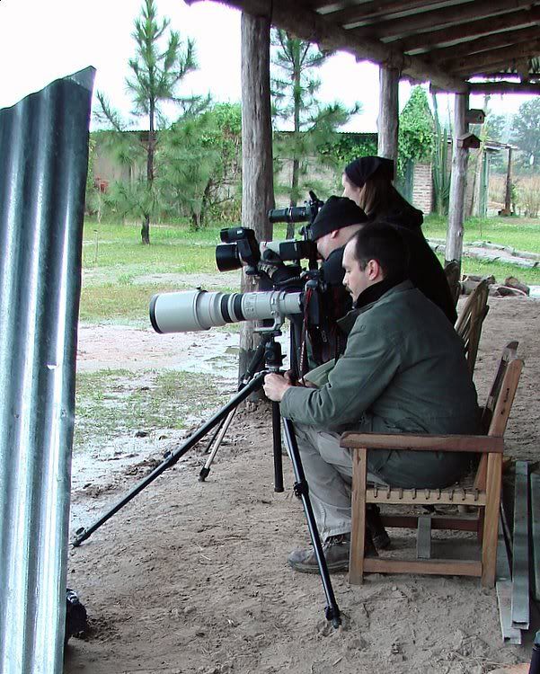 Photo Sharing and Video Hosting at Photobucket