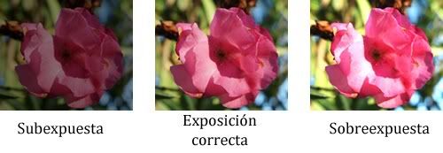 Exposición Exposición