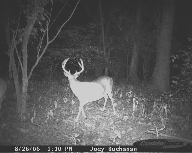 cuddeback noflash