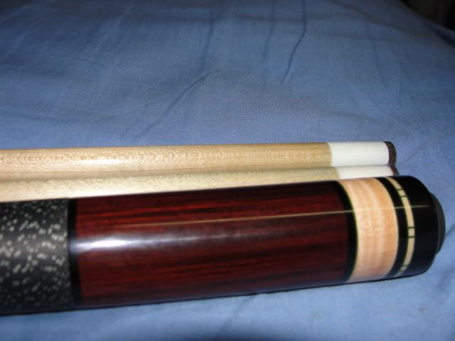 DSC01604.jpg