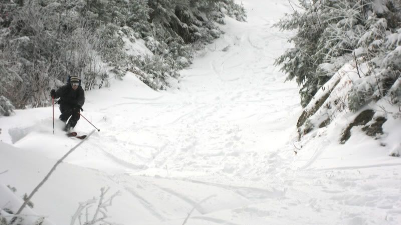 IMG_0946.jpg