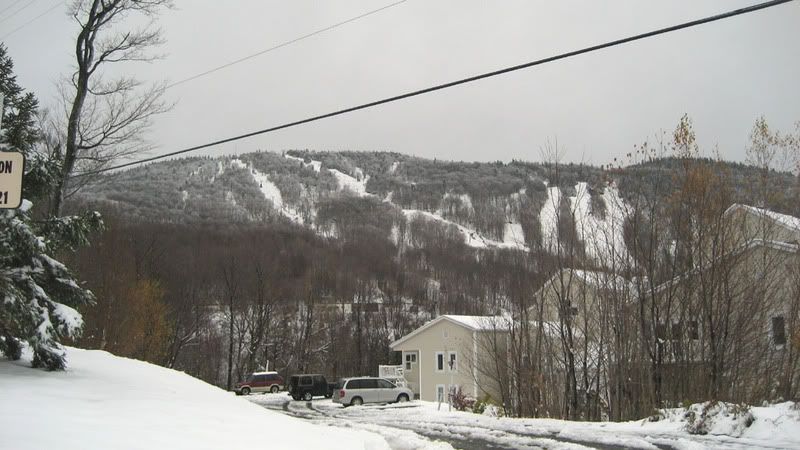 IMG_0978.jpg