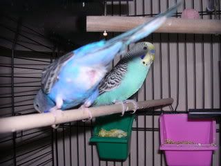 DSCN0001.jpg