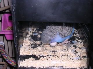 DSCN0017.jpg