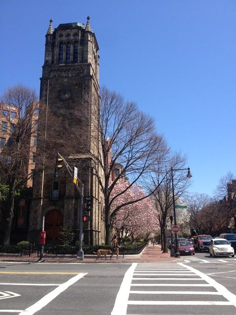 Spring in Boston