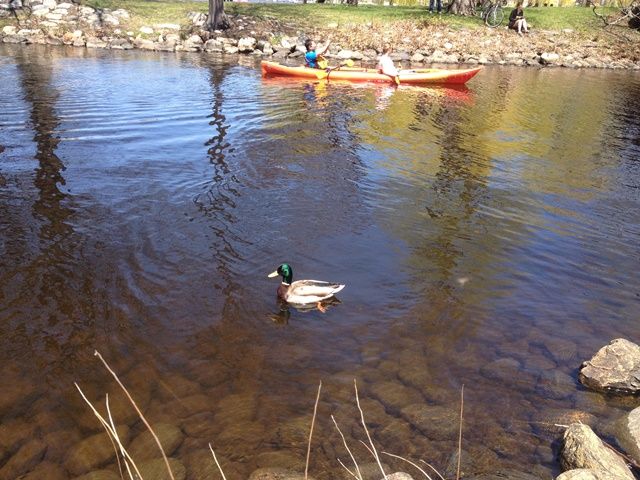 Spring in Boston
