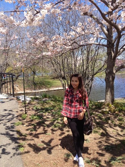 Spring in Boston