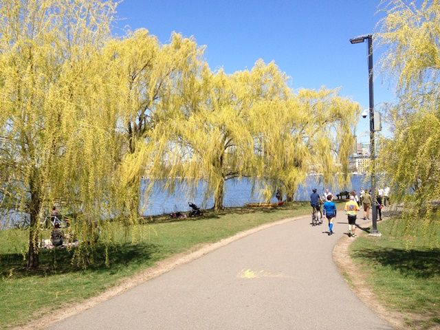 Spring in Boston