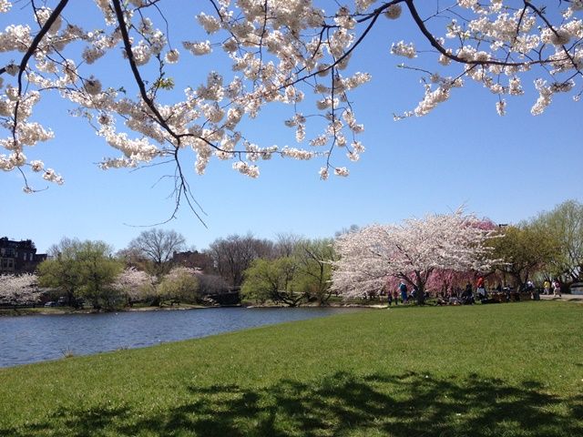 Spring in Boston