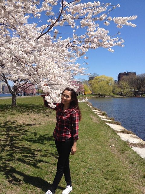 Spring in Boston