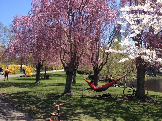 Spring in Boston
