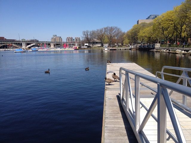 Spring in Boston