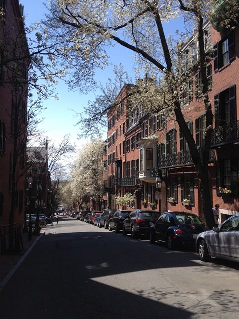 Spring in Boston
