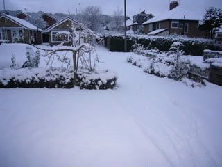 snow