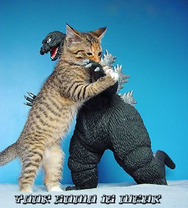 Photo Sharing and Video Hosting at Photobucket