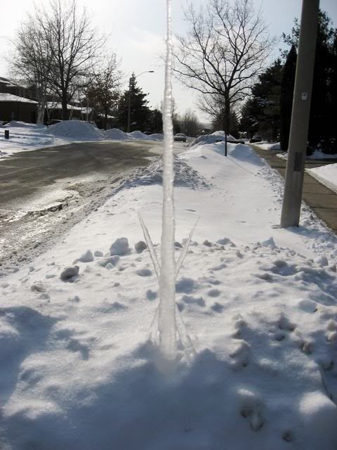 http://i26.photobucket.com/albums/c117/kod_temp/IMG_6439.jpg