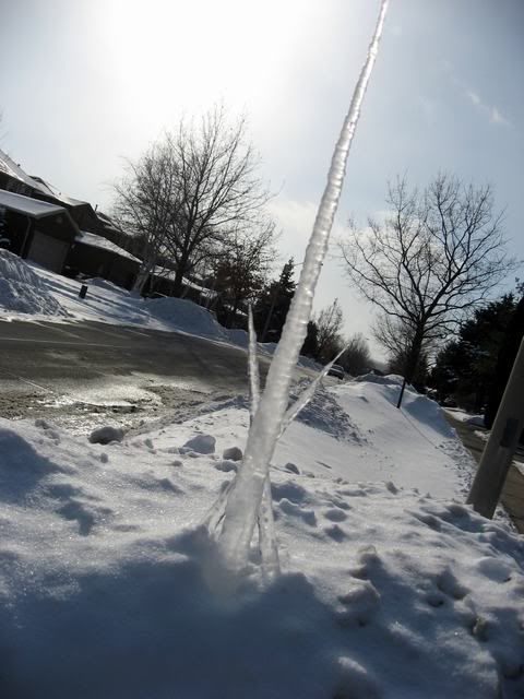 http://i26.photobucket.com/albums/c117/kod_temp/IMG_6440.jpg