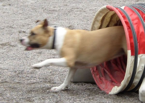 Kuva