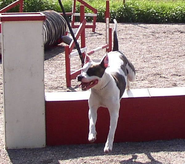 Kuva
