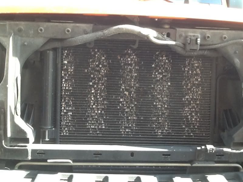 Jeep radiator screen #3