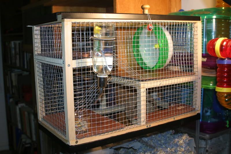 DIY Cage TopperPics are Here! The Gerbil Forum