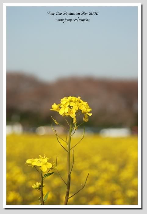 Image hosting by Photobucket