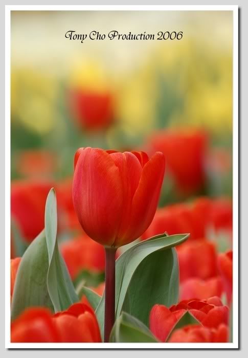 Image hosting by Photobucket