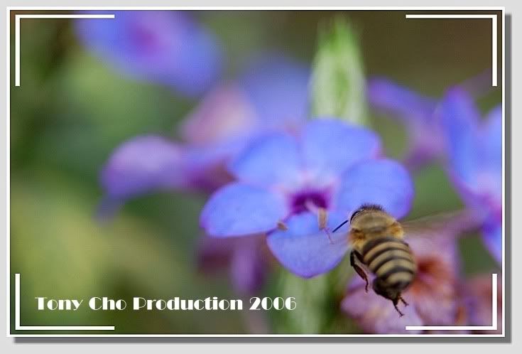 Image hosting by Photobucket